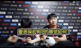 一诺爆料采访视频全集,揭秘娱乐圈幕后真相与个人成长历程